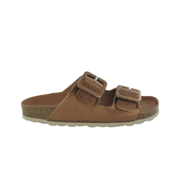 Verbenas Randell Randell large