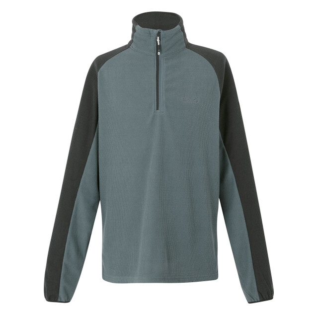 Regatta Heren elson ii lichtgewicht fleece UTRG8119_stormyweatherash large