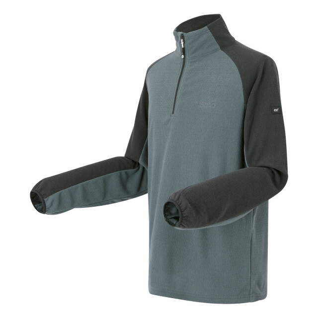 Regatta Heren elson ii lichtgewicht fleece UTRG8119_stormyweatherash large