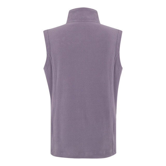 Regatta Geweldige outdoors dames outdoor klassieke sweatness ii bodywarmer UTRG965_purplesagewisteria large