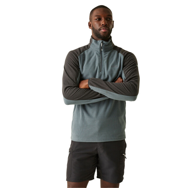 Regatta Heren elson ii lichtgewicht fleece UTRG8119_stormyweatherash large