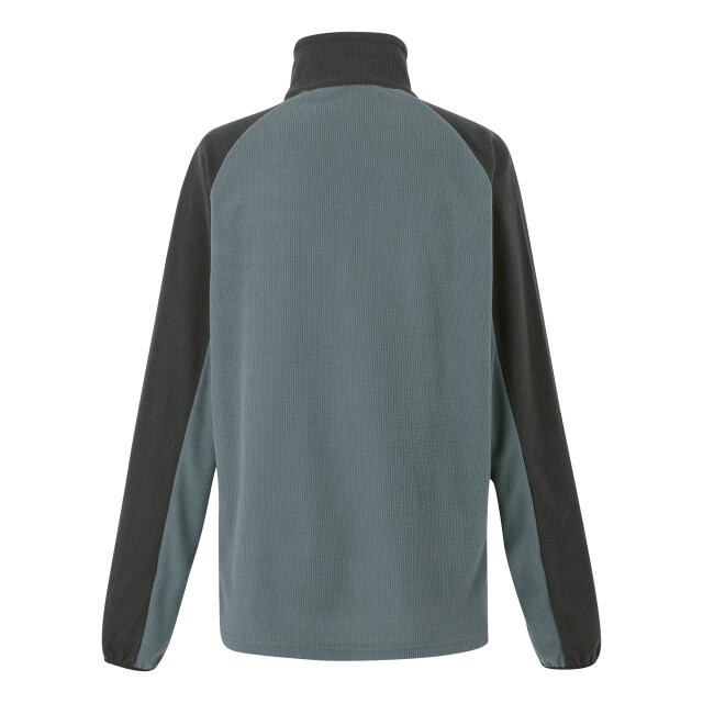Regatta Heren elson ii lichtgewicht fleece UTRG8119_stormyweatherash large