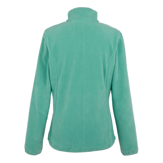 Regatta Dames floreo iv full zip fleece jas UTRG7390_dustygreen large