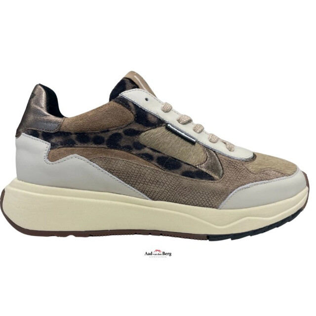 Floris van Bommel Suvi 03.04 Sneakers Beige Suvi 03.04 large
