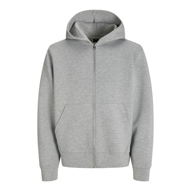Jack & Jones Jcocover scuba sweat zip hood noos 12282972 large