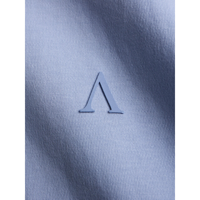 Aeden Razz tee corn blue A22243122-411 large