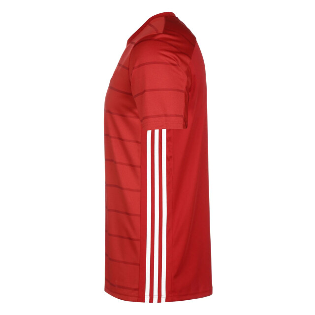 Adidas Heren campeon 21 t-shirt UTPP969_red large