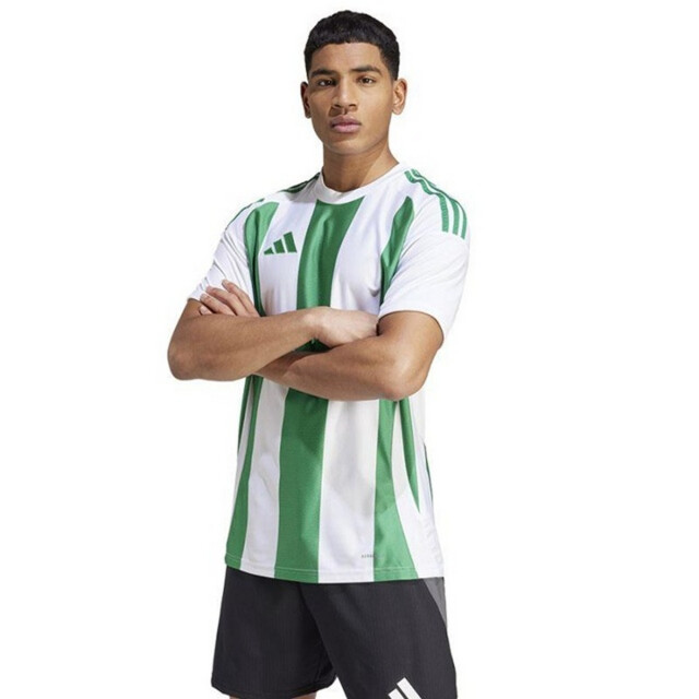 Adidas Heren 24 gestreepte voetbal jersey UTPP6401_whitegreen large