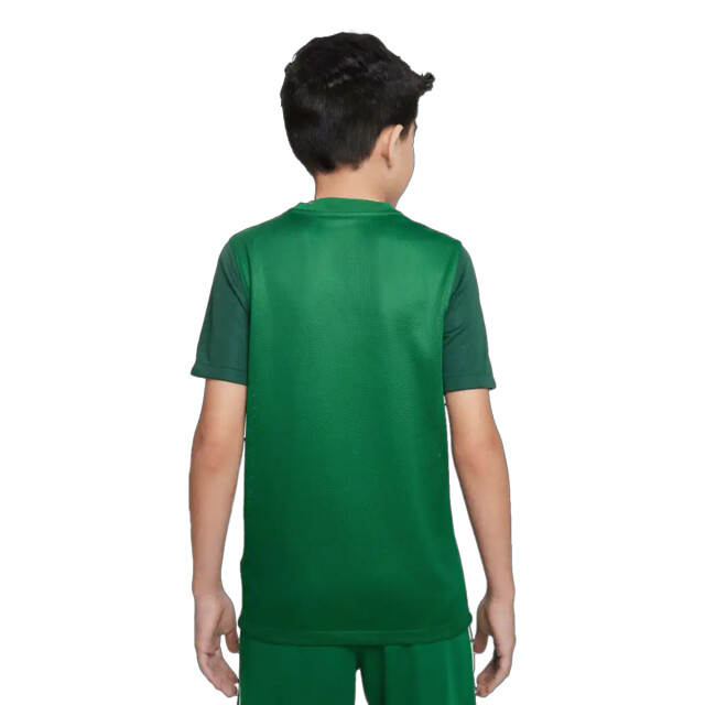 Nike Kinderen/kinderen trofee v t-shirt UTPP5868_green large