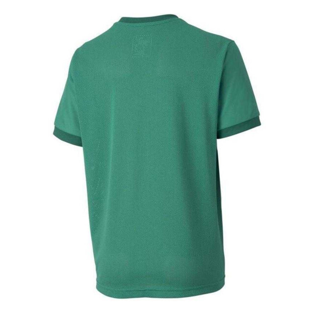 Puma Kinderen/kinderen teamgoal t-shirt UTPP5521_green large