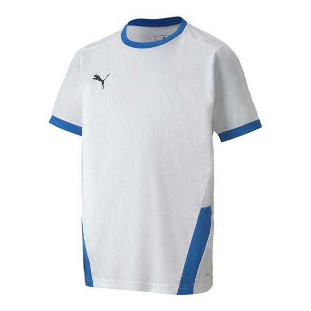 Puma Kinderen/kinderen teamgoal t-shirt UTPP5521_whiteblue large
