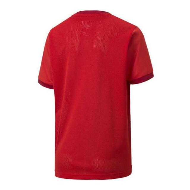 Puma Kinderen/kinderen teamgoal t-shirt UTPP5521_red large