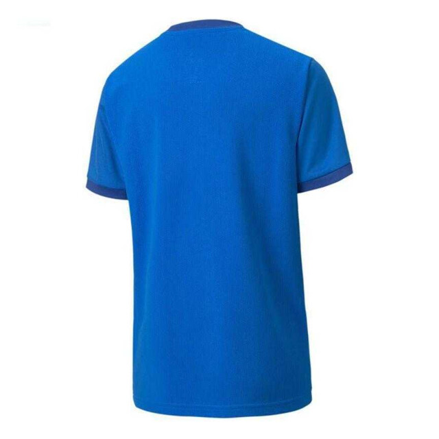 Puma Kinderen/kinderen teamgoal t-shirt UTPP5521_blue large