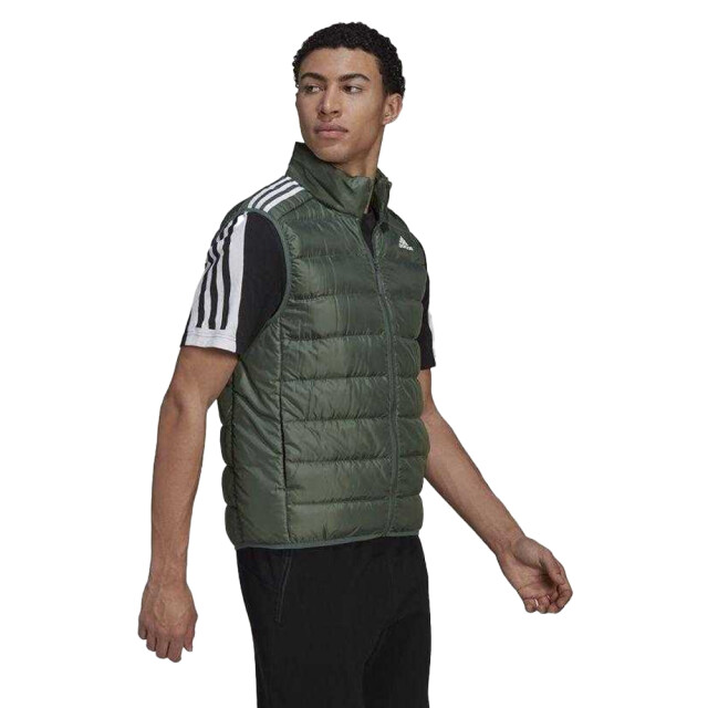Adidas Heren essentials donzen lichtgewicht gilet UTPP4402_green large