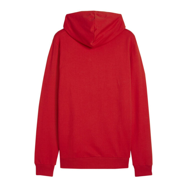Puma Heren team goal casual hoodie UTPP4095_red large