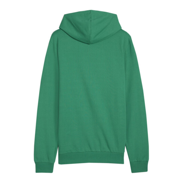 Puma Heren team goal casual hoodie UTPP4095_green large