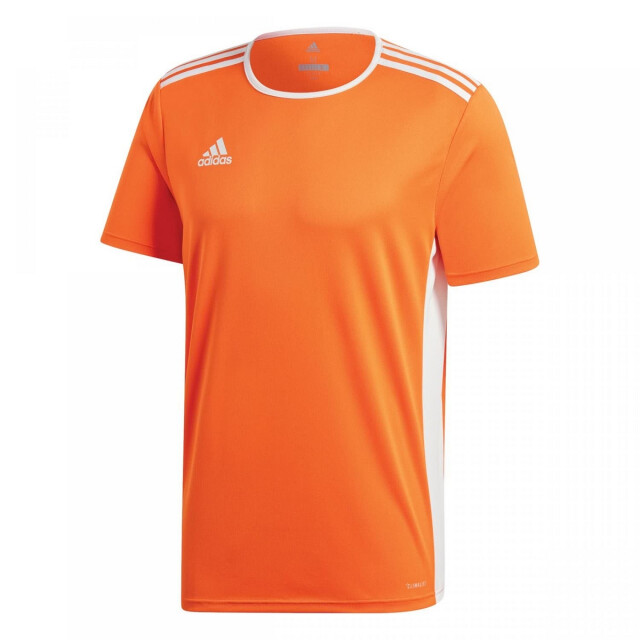 Adidas Kinderen/kinderen entrada 18 t-shirt UTPP3179_orange large
