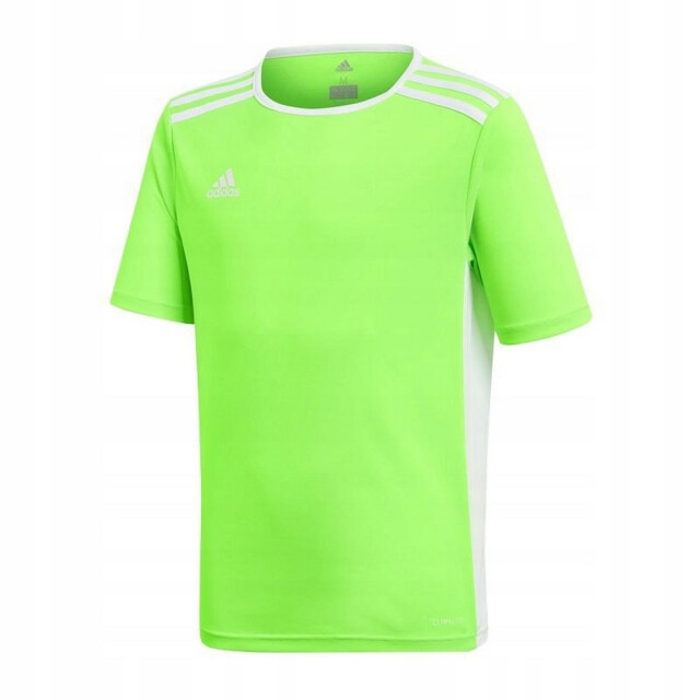Adidas Kinderen/kinderen entrada 18 t-shirt UTPP3179_limegreen large