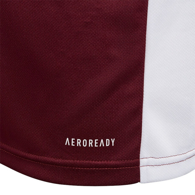 Adidas Kinderen/kinderen entrada 18 t-shirt UTPP3179_burgundy large