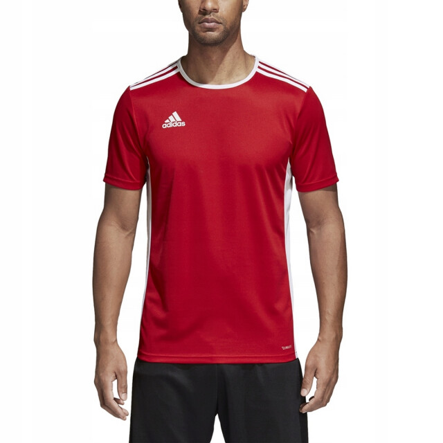 Adidas Kinderen/kinderen entrada 18 t-shirt UTPP3179_red large