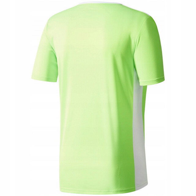 Adidas Kinderen/kinderen entrada 18 t-shirt UTPP3179_green large