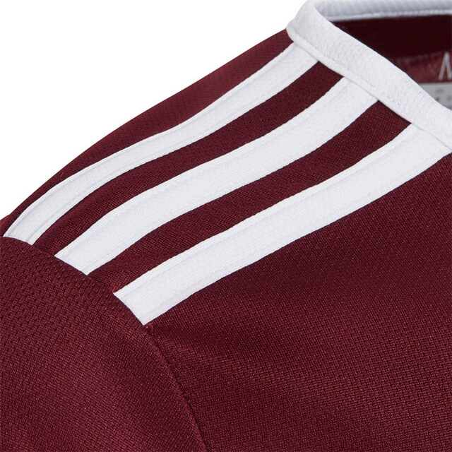 Adidas Kinderen/kinderen entrada 18 t-shirt UTPP3179_burgundy large
