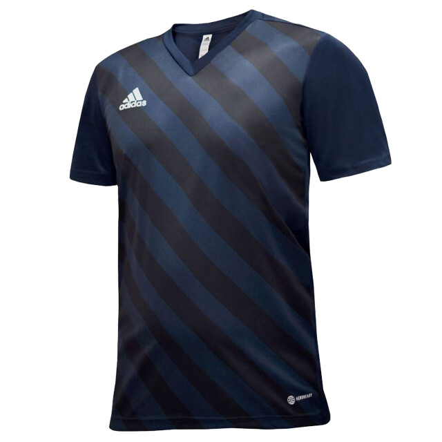 Adidas Kinderen/kinderen entrada 22 grafisch jersey t-shirt UTPP3102_navyblue large