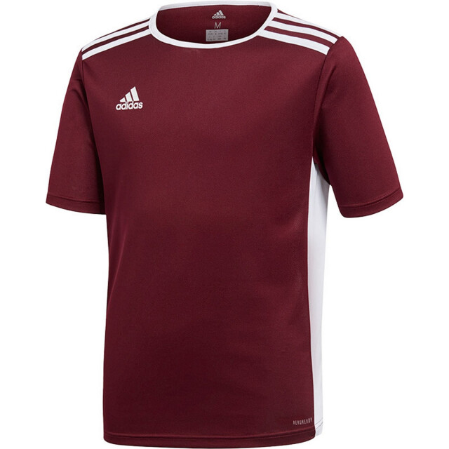 Adidas Kinderen/kinderen entrada 18 t-shirt UTPP3179_burgundy large