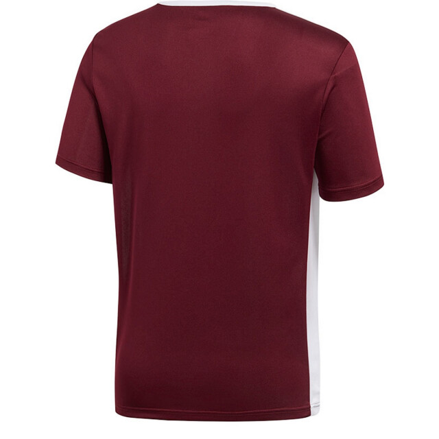 Adidas Kinderen/kinderen entrada 18 t-shirt UTPP3179_burgundy large