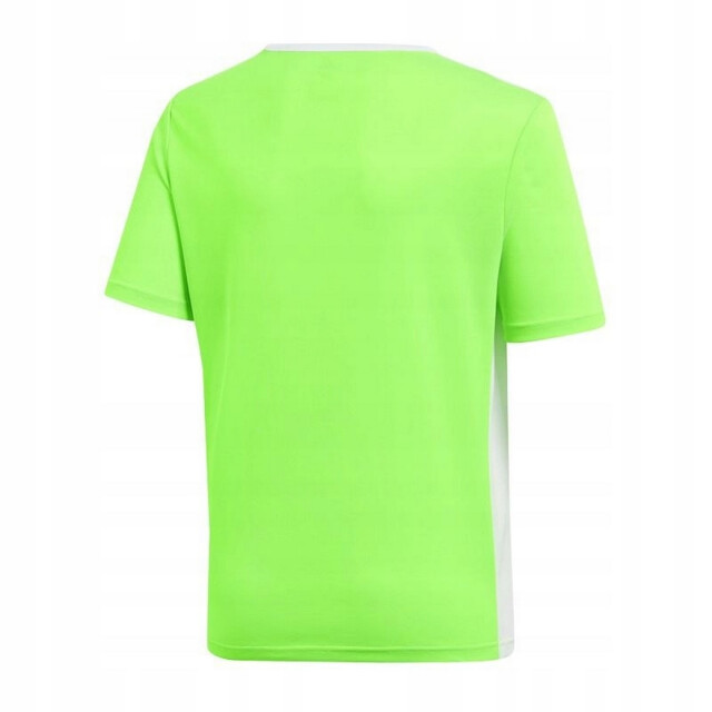 Adidas Kinderen/kinderen entrada 18 t-shirt UTPP3179_limegreen large