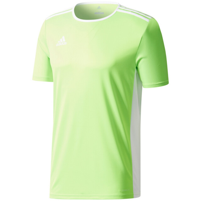 Adidas Kinderen/kinderen entrada 18 t-shirt UTPP3179_green large