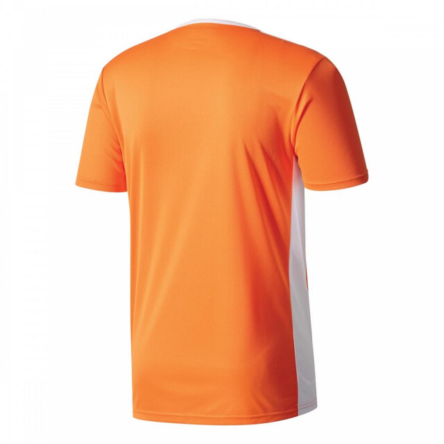 Adidas Kinderen/kinderen entrada 18 t-shirt UTPP3179_orange large