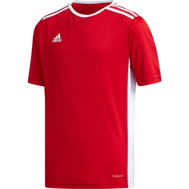 Adidas Kinderen/kinderen entrada 18 t-shirt UTPP3179_red large
