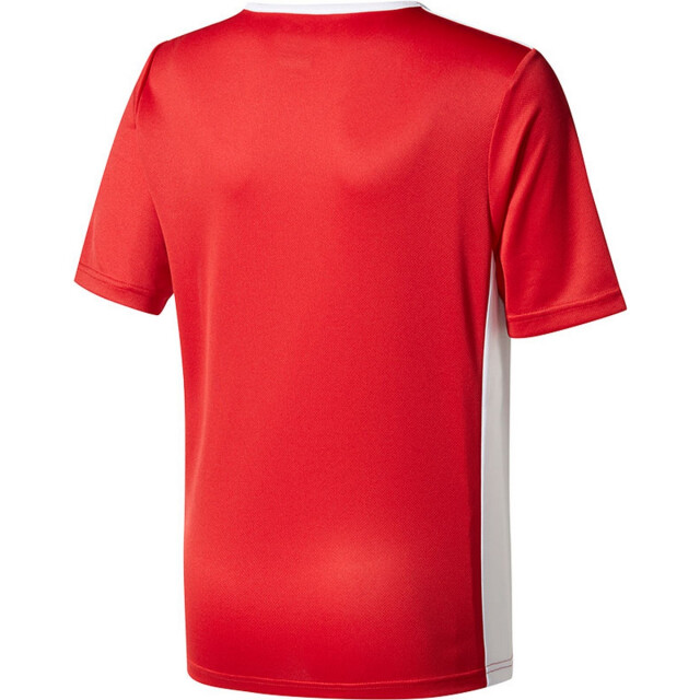 Adidas Kinderen/kinderen entrada 18 t-shirt UTPP3179_red large