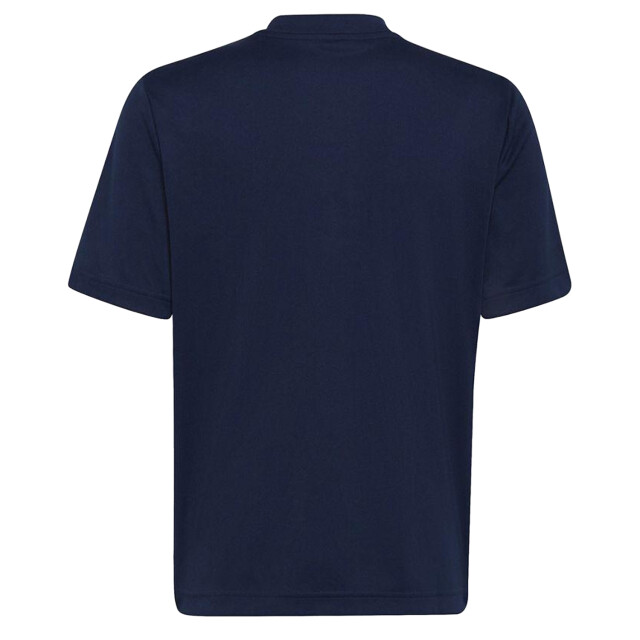 Adidas Kinderen/kinderen entrada 22 grafisch jersey t-shirt UTPP3102_navyblue large