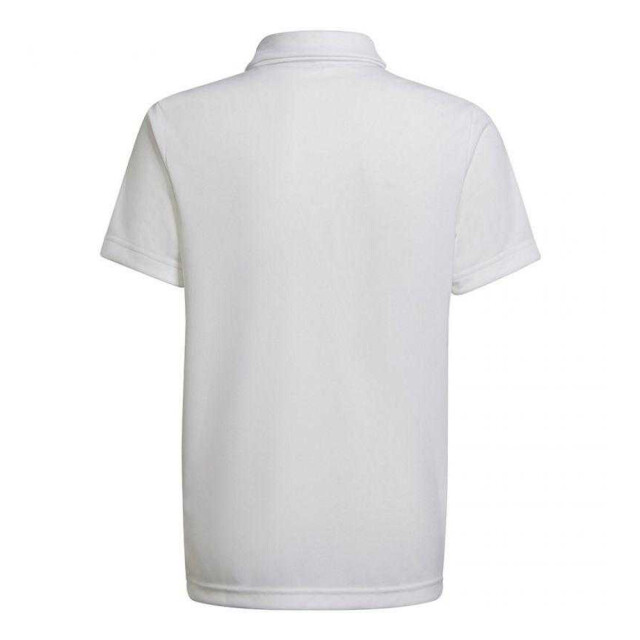 Adidas Jongens entrada 22 poloshirt UTPP2371_white large