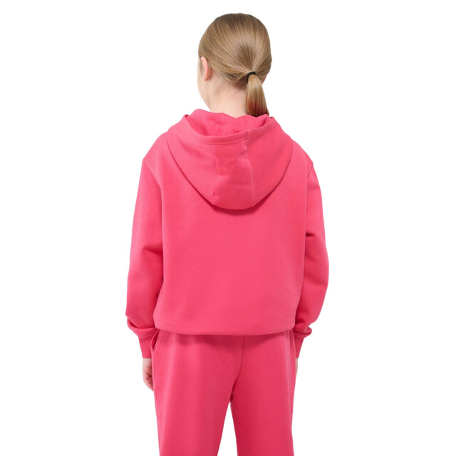 4F Meisjes f1854 hoodie UTPP221_pink large