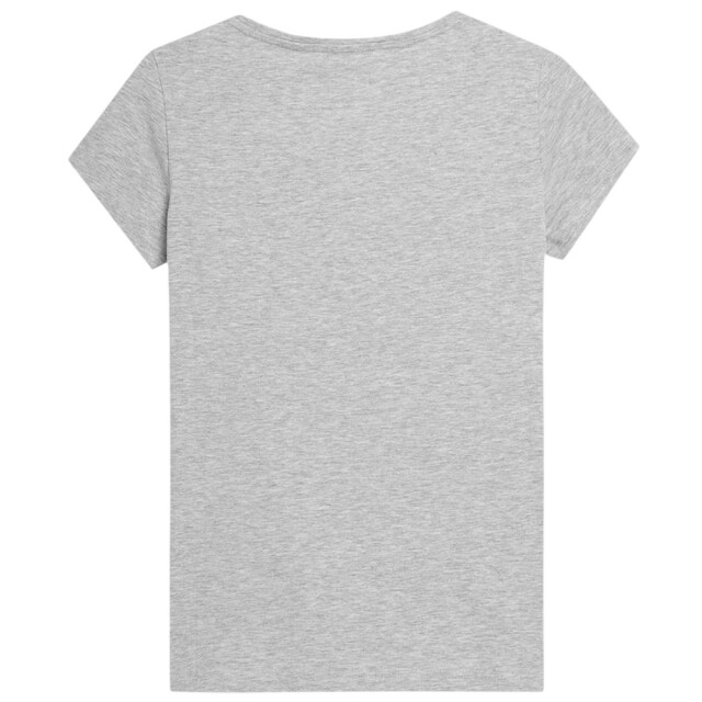 4F Dames h4z22-tsd353 t-shirt UTPP1734_grey large