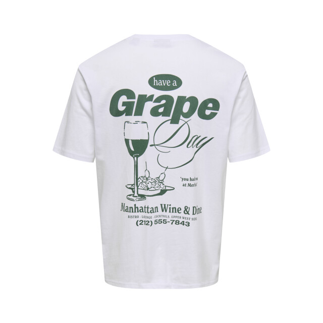 Only & Sons Onsalfresco rlx ss tee 22035545 large