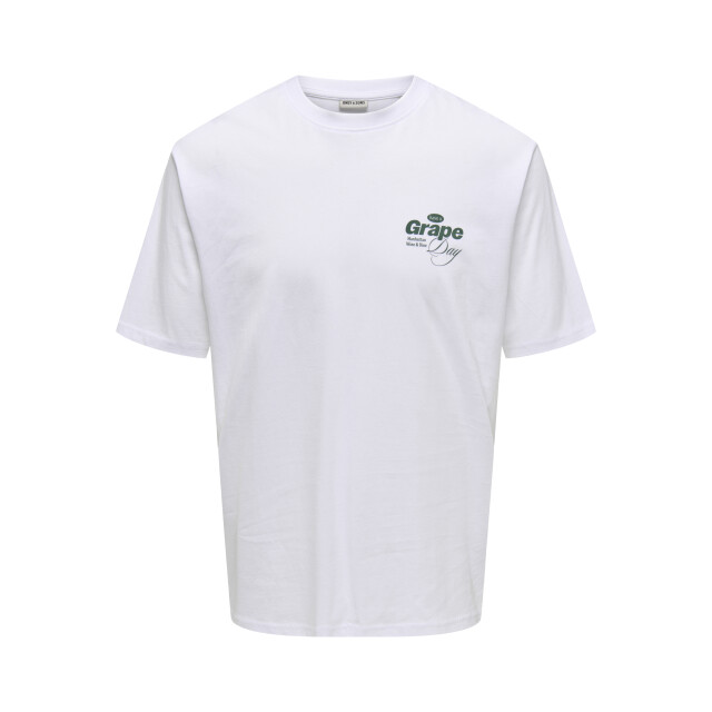 Only & Sons Onsalfresco rlx ss tee 22035545 large