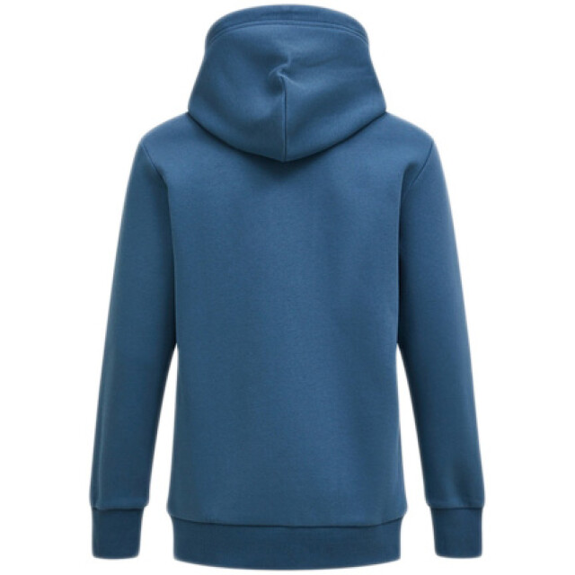 Peak Performance M original small logo hood mountain lake G79589200 large