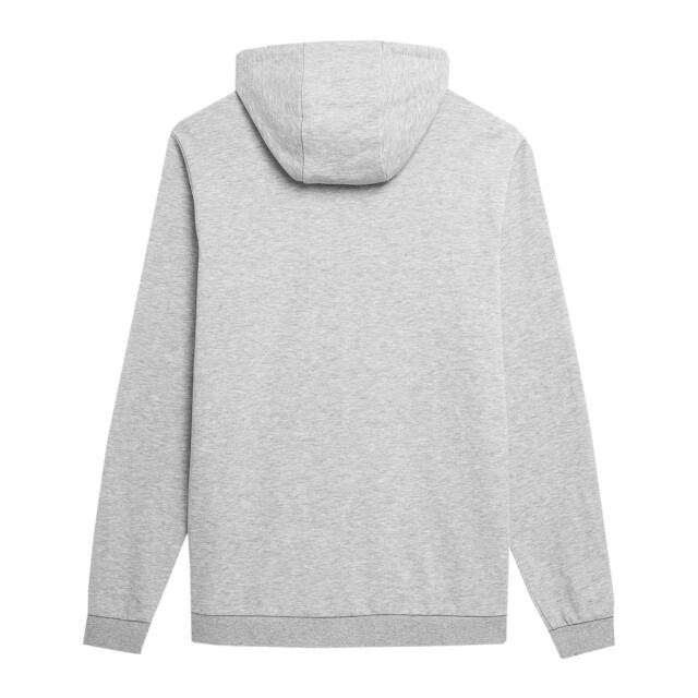 4F Heren wss24tswsm0951 full zip hoodie UTPP4750_grey large