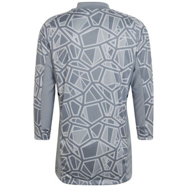 Adidas Heren condivo 22 keepershirt met lange mouwen UTPP1512_greysilver large