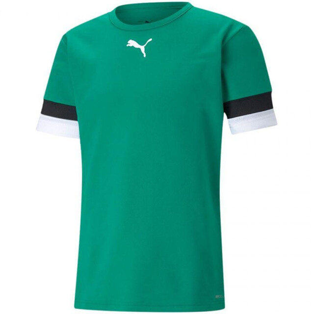 Puma Heren teamrise t-shirt UTPP5352_green large
