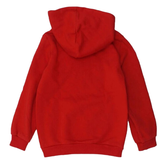 Puma Kinder/kinder dct hoodie UTPP4154_red large