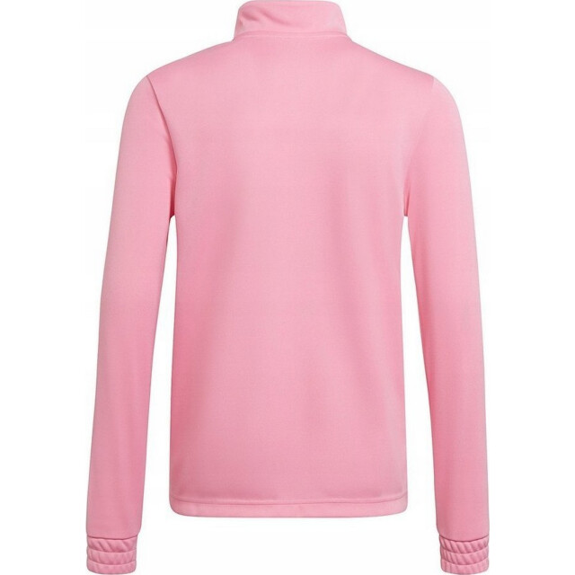 Adidas Kinder/kids entrada 22 sweatshirt met kwart ritssluiting UTPP1145_pink large