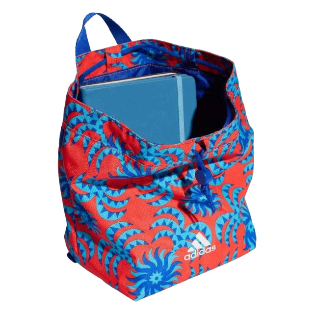 Adidas W boerderij rugzak UTPP2942_redblue large