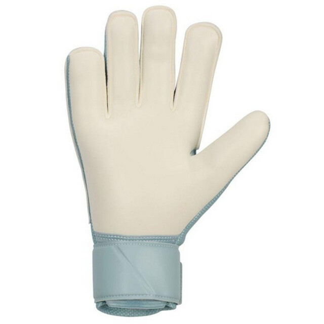 Nike Unisex wedstrijdhandschoenen voor volwassenen UTPP3950_blue large