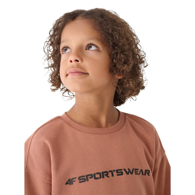 4F Jongens m1224 pullover sweatshirt UTPP1279_brown large