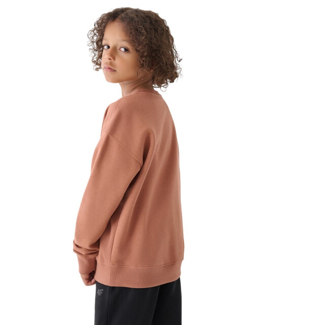 4F Jongens m1224 pullover sweatshirt UTPP1279_brown large